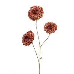 ZINNIA MALVA ORO 80CM