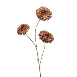 ZINNIA BRONCE 80CM