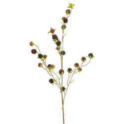 VARA ZARZAMORAS 100CM
