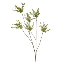 BERRIES VERDE 120CM