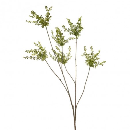 BERRIES VERDE 120CM