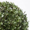 ILEX BOLA MACETA 5L