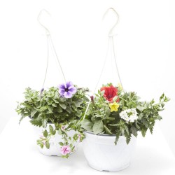 FLORES COMBINADAS TARRINA 19CM