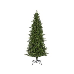 ABETO KILLINGTON FIR H270CM
