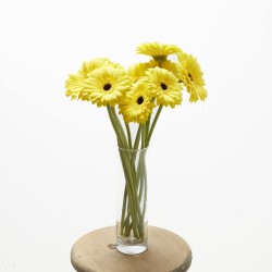 RAMO GERBERAS AMARILLO