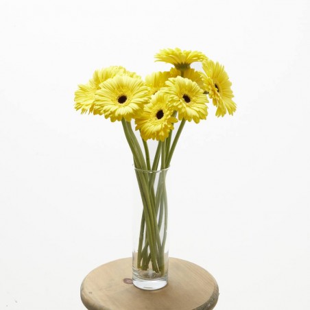 RAMO GERBERAS AMARILLO
