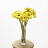RAMO GERBERAS AMARILLO