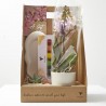 SET REGALO PLANTAS CON CUBRE + PINTURAS