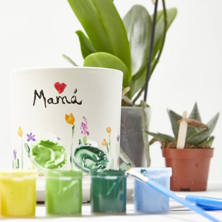 SET REGALO PLANTAS CON CUBRE + PINTURAS