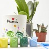 SET REGALO PLANTAS CON CUBRE + PINTURAS