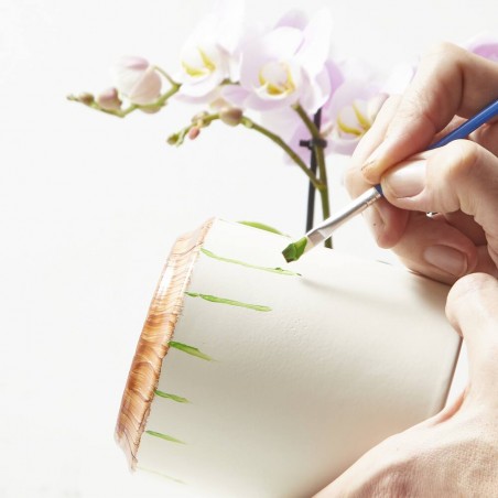 SET REGALO PLANTAS CON CUBRE + PINTURAS