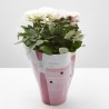 ROSAL DÚO AMORE M-14
