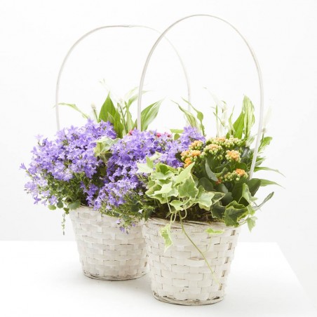 CESTA PLANTAS PEQUEÑA