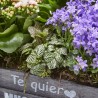 CAJA TE QUIERO MUCHO MEDIANA