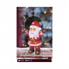 SANTA LED OUTDOOR L14-W29-H46CM-50L