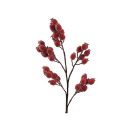 VARA ESCARAMUJO ROJO L20-W16-H78CM