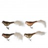 CLIP PAJARO CRISTAL H8CM