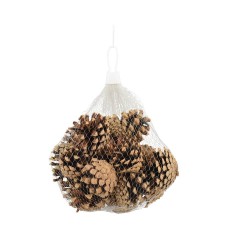 BOLSA PIÑAS NATURAL H13CM