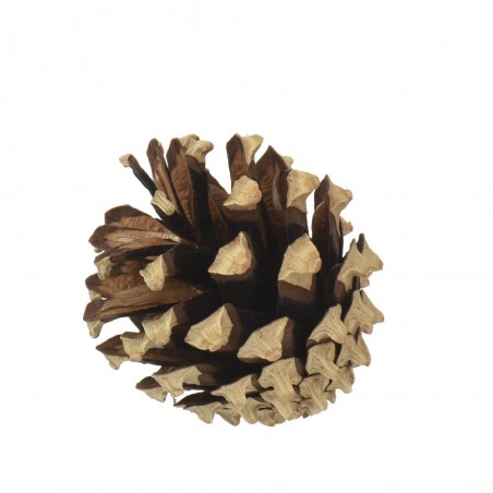 BOLSA PIÑAS NATURAL H13CM