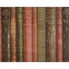 PAPEL REGALO BIBLIOTECA L70-W200-H0.10CM