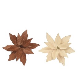 POINSETIA CLIP VELVET CREMA-MARRON D35CM