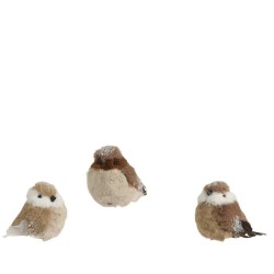 PAJARO 3 SURTIDOS L7-W11-H9CM
