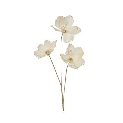 MAGNOLIA CREMA 74CM