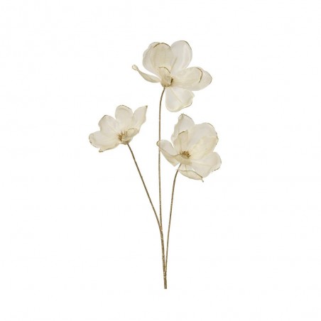 MAGNOLIA CREMA 74CM