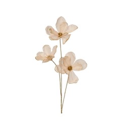 MAGNOLIA MELOCOTON 74CM