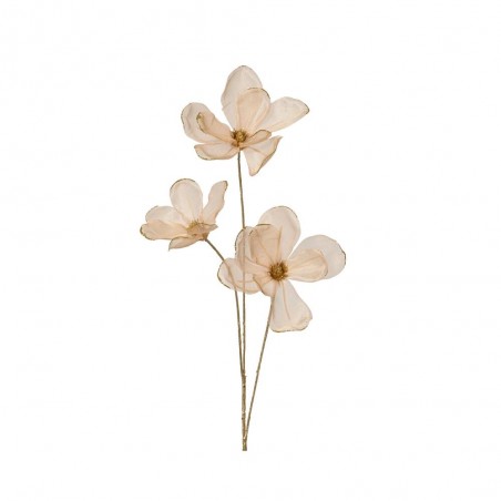 MAGNOLIA MELOCOTON 74CM