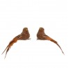 PÁJAROS CLIP MARRÓN L10.00-W4.00-H5.50CM