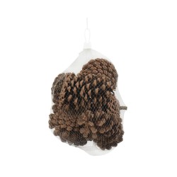 BOLSA PIÑAS NATURAL H18CM