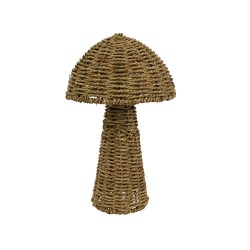SETA JACINTO DIA20.00-H34.00CM