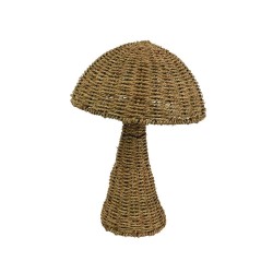 SETA JACINTO DIA31.00-H45.00CM