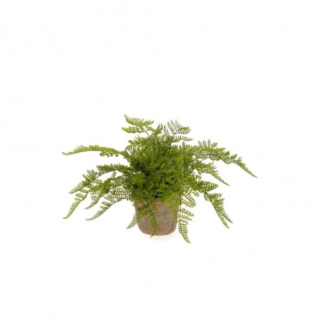 FERN FOREST BUSH 35CM