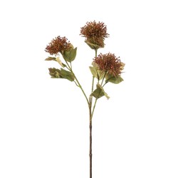 VARA VIBURNUM X 3 MARRON 62CM