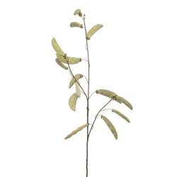 VARA JUDIAS X 3 90CM