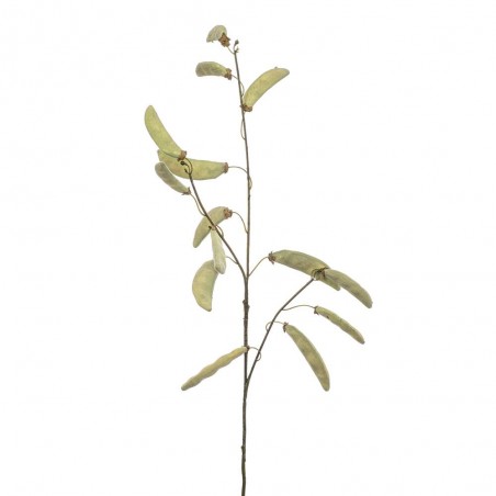 VARA JUDIAS X 3 90CM