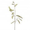 VARA JUDIAS X 3 90CM