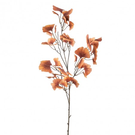 GINKGO CORAL 105CM