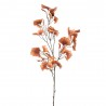 GINKGO CORAL 105CM