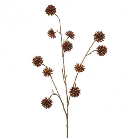 CAMPTOTHECA X 3 MARRON 102CM