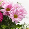 RAMO PALERMO ROSA