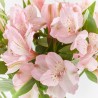 RAMO ALSTROEMERIAS ROSAS