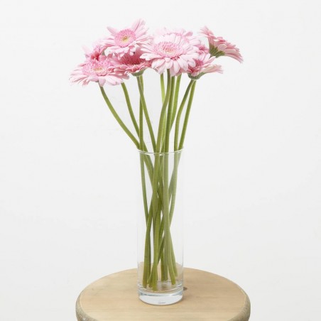RAMO GERBERAS ROSA