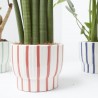 PLANTA MIXTA CON CUBRE SUMMER 13CM