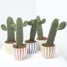OPUNTIA RUBESCENS CON CUBRE SUMMER 13CM