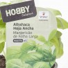 ALBAHACA HOJA ANCHA CULINARIA M-13
