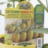 TOMATE INJERTADO ADITALADO VERDE VAR. MANGO F1 M