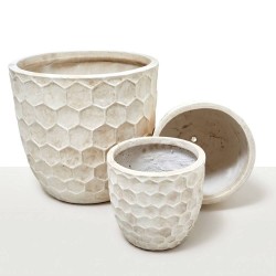 MACETA VASO ABEILLE DESERT